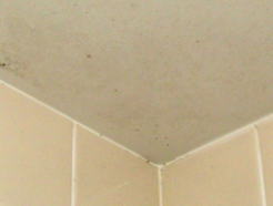 浴槽天井のカビ汚れ